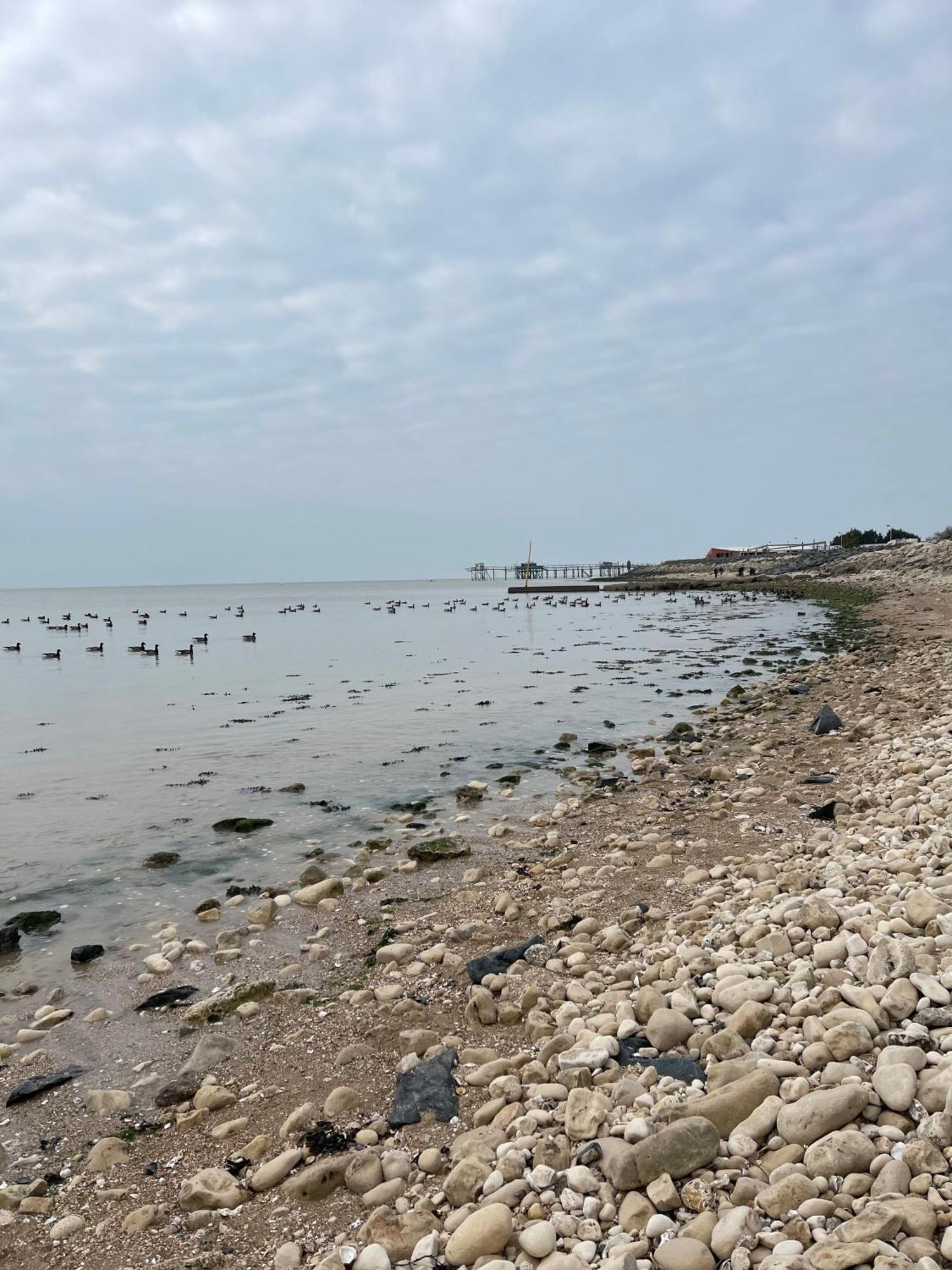 La Rochelle *
